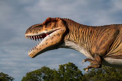 Mr. T Rex