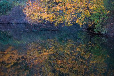 Reflecting Back on the Cool Fall Weather