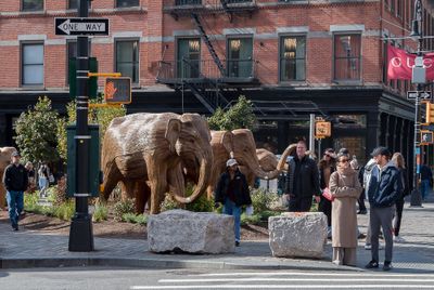 Oh Dear, Looks Like the Elephants are Going the Wrong Way