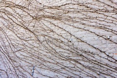 Lines on a Wall