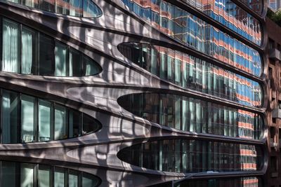Wild Windows and Reflections