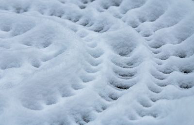 Patterns Lines in the Snow