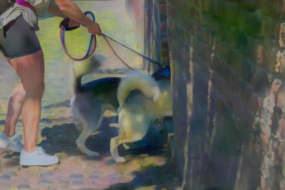 The Dogs of Great Britain