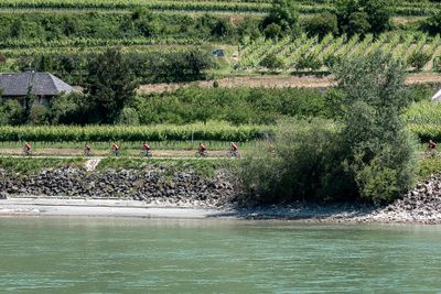A Line of Bikers Along the River