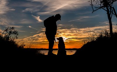 Sunsets and Silhouettes