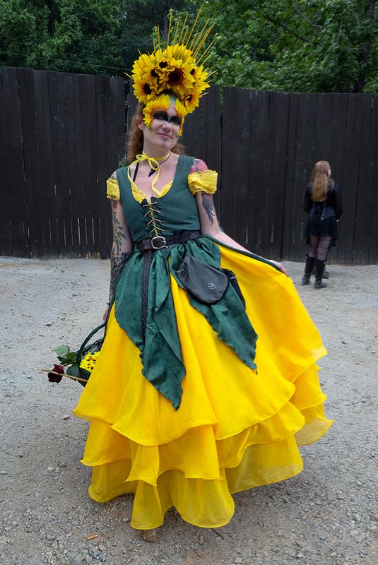 Renaissance Fair