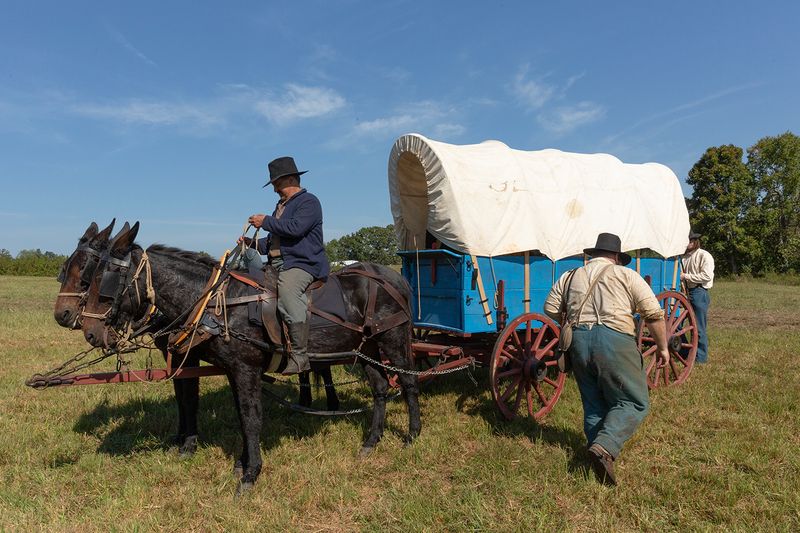 Mule-Drawn Supply Wagon, Chickamauga