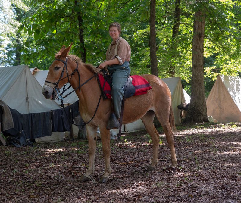 Confederate Cavalry Camp