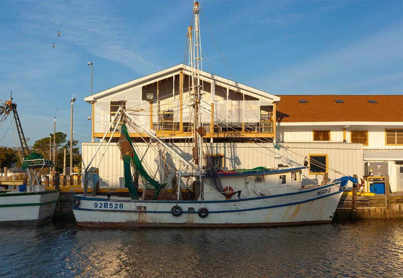 Heidi II