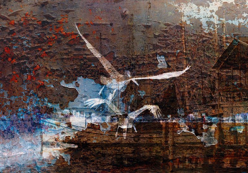 Night Trawler