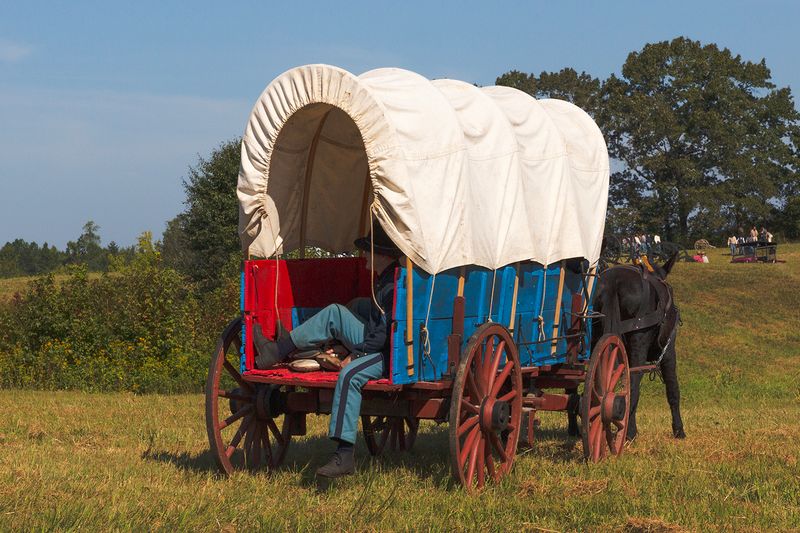 Mule-Drawn Supply Wagon, Chickamauga