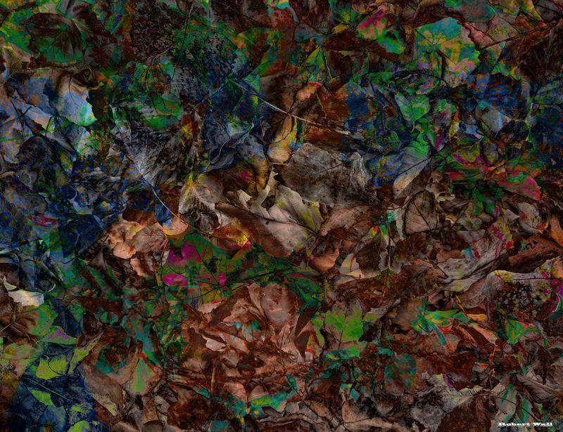 Nebulous Profundity