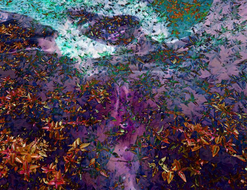 Fireflies and Faires