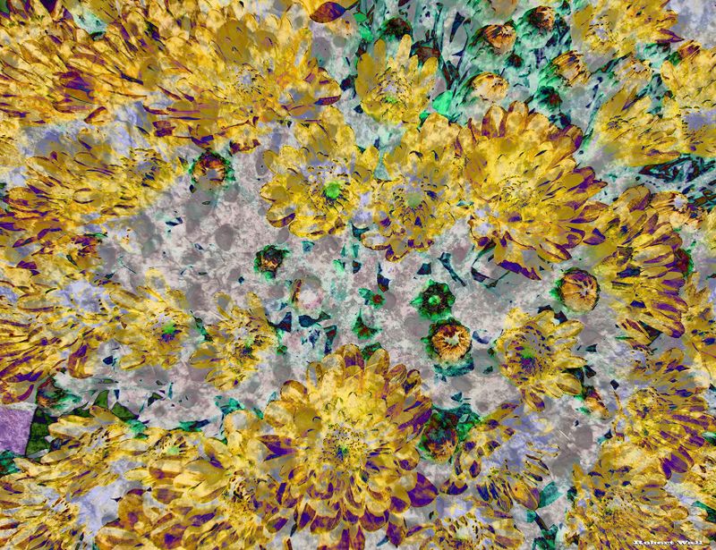 Wild Flowers