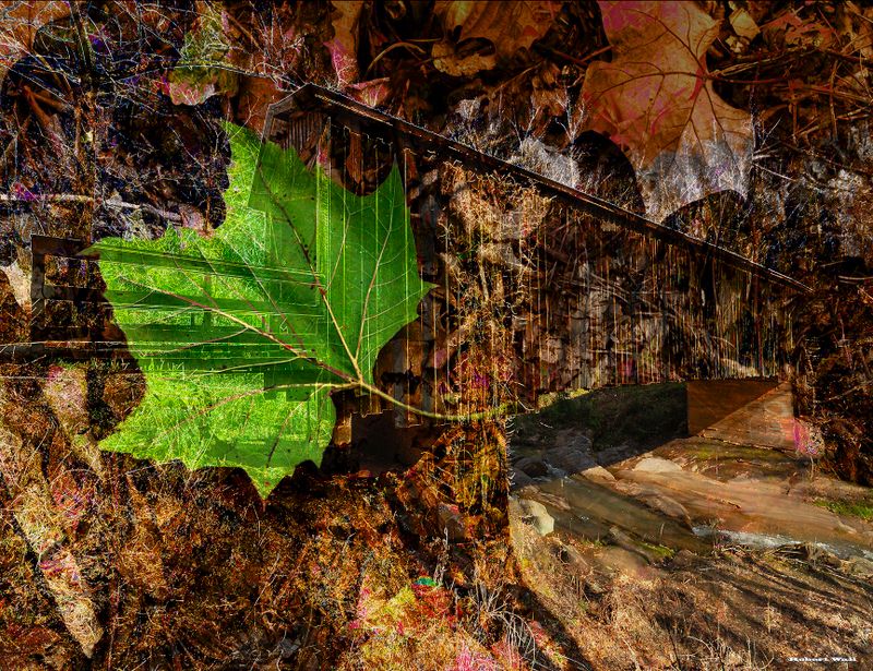 Bridging The Seasons