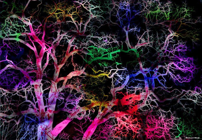 Roadmap To Perdition