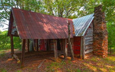 Abandoned Cabin