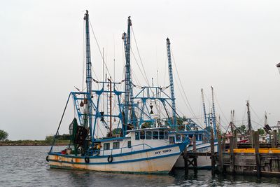 Trawlers