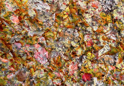 Cosmic Confetti