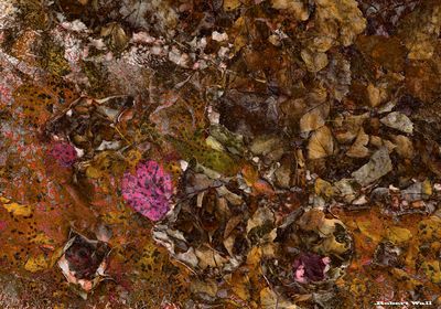 Colors of Autumn