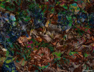 Nebulous Profundity