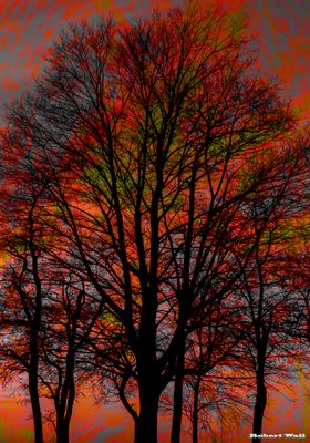 Impermanence Of Immutability