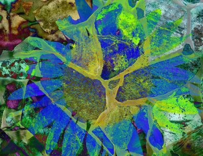 Hyperbolic Distraction