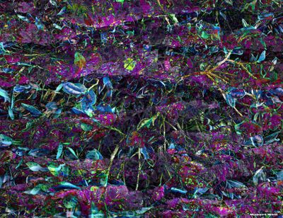 Background 30