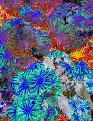 Florid Floral