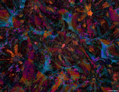 Cucurbit Obscura