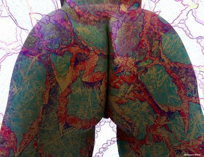 The Illustrated Woman