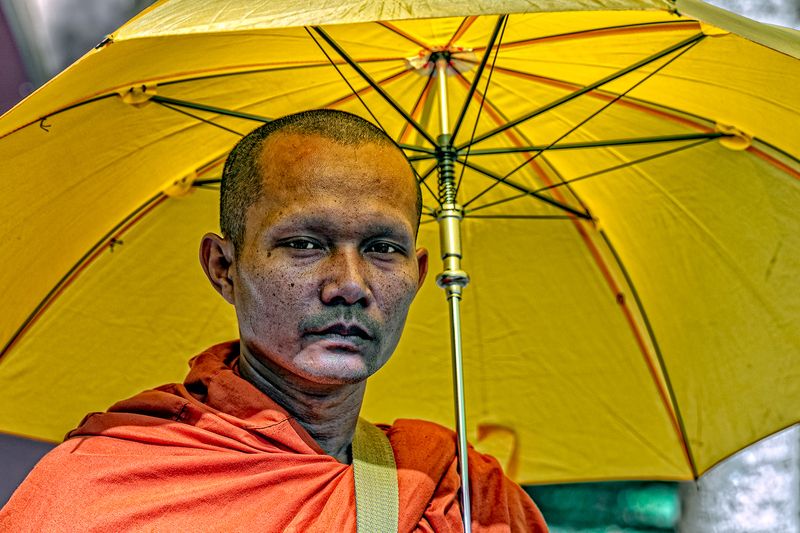 Buddihist Monk