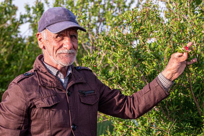 The Farmer, raising apricots, saffron and roses on his farm in Fars.