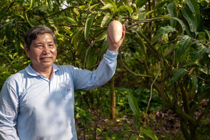 Mango Farmer