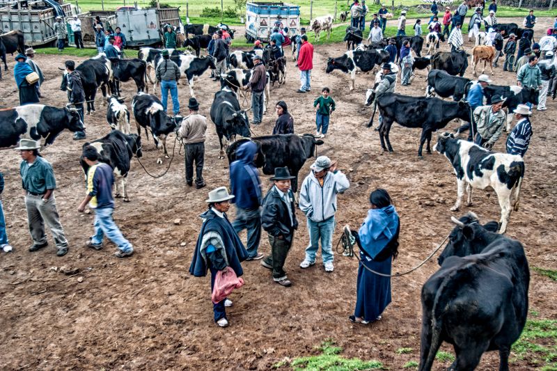 Livestock Market