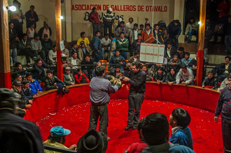 Asociacion de Galleros de Otavalo