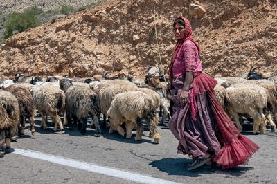 Qashqai Shepherdess