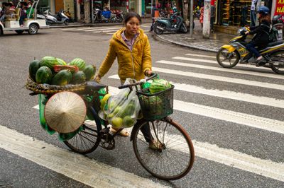 Bicycle Vendor