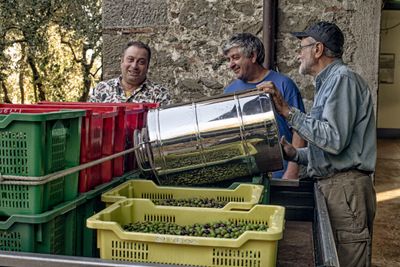 Olive Farmers