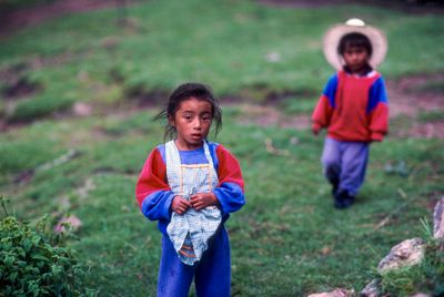 Ixil Children on Family Farm< HPI Supported