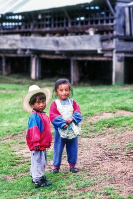 Ixil Brother and Sister on HPI Farm