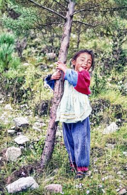 Ixil Girl on HPI Tree Farm
