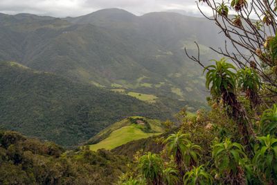 Andean Valley