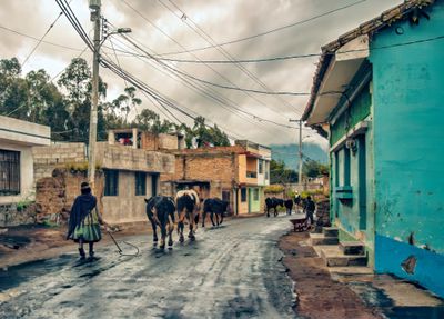 Rural Traffic