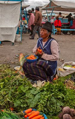 Carrots and Greens