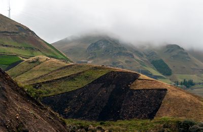 Mountain Farms