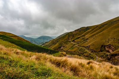 Mountain Roads and Farms