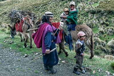 Quechua Shepherding Family
