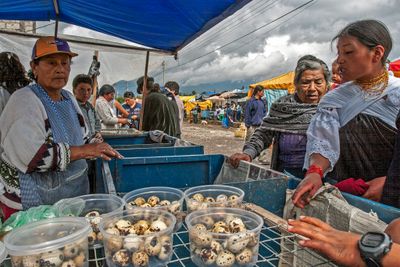 Quail Eggs for Sale