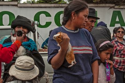The Cuy Market